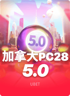 从学习到娱乐，28圈网站登录流程怎么选？5款产品满足各类用户需求